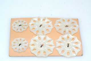 6pc Carved Mother Of Pearl Button Set On Card 4 Large 2 Small