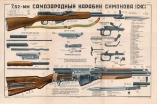 Color Poster Of Soviet Russian Sks 45 Carbine Simonov 7.  62x39 Lqqk & Buy Now