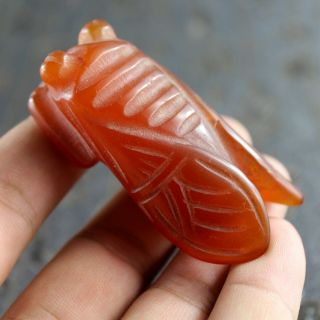 2.  6  Chinese Old Red Agate Hand - Carved Cicada Statue Jade Amulet Pendant 1205