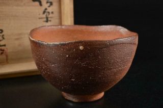 G9845: Japanese Shigaraki - Ware Youhen Pattern Nodate Tea Bowl W/signed Box