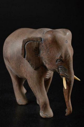 G9564: Chinese Wooden elephant STATUE sculpture Ornament Figurines Okimono 3