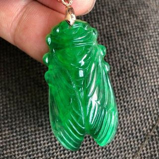 Collectible Chinese Handwork Natural Green Jadeite Jade Fortune Cicada Pendant
