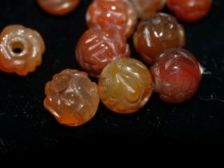 One Chinese Carved Bead Orange Agate Carnelian Curling Wind Dragon Round 8mm