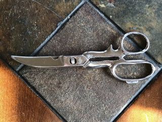 Vintage Griffon Take A Part Chrome Scissors Made In Italy 8.  5”