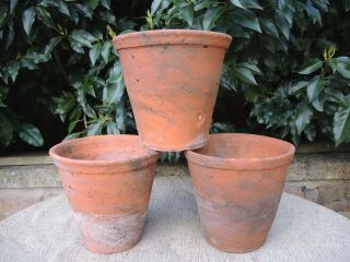 3 Old Hand Thrown Terracotta Plant Pots 6.  75 " Diameter (217c)