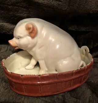 Antique Bisque Porcelian Schafer Vater “pig In Washtub “figure