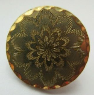 Early Antique Vtg Gold Gilt Metal Button Extra Superfine Waterbury (u)