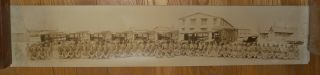 1918 Camp Lee Va Photo 381st Motorized Ambulance Company Wwi Yardlong Army Amedd