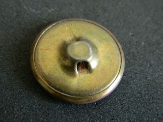 Antique Vtg Brass Picture Button BIRD Swallow w Pink Luster 4