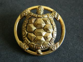 Antique Brass Metal Button W Realistic Turtle Raised Relief So Awesome