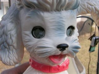 Edward Mobley Rubber Squeaky Poodle - 1962 12 " Tall Blinking Eyes And Head Moves