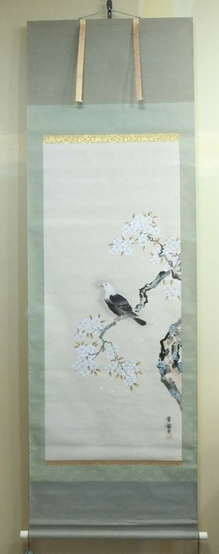 I489: Japanese old hanging scroll.  Bird on SAKURA tree with good painting. 2