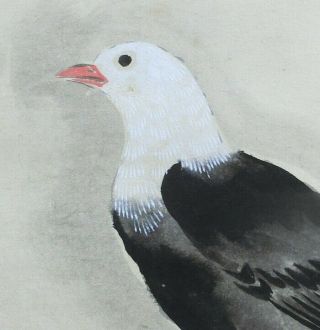 I489: Japanese old hanging scroll.  Bird on SAKURA tree with good painting. 4