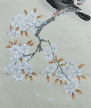 I489: Japanese old hanging scroll.  Bird on SAKURA tree with good painting. 5