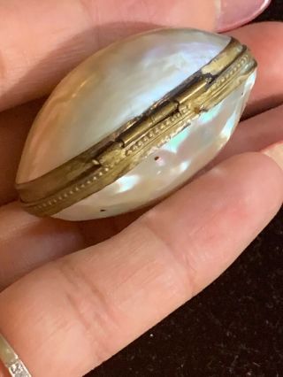 Antique Victorian Palais Royale French Mother Of Pearl Thimble Holder Pill Case 3
