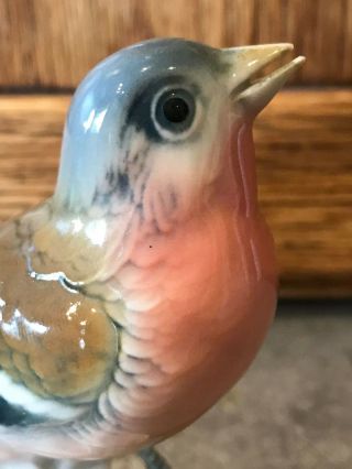 EXC Vtg Karl ENS Germany Bird Porcelain China Figurine Figure Red Breasted Finch 6