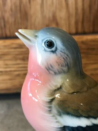 EXC Vtg Karl ENS Germany Bird Porcelain China Figurine Figure Red Breasted Finch 7