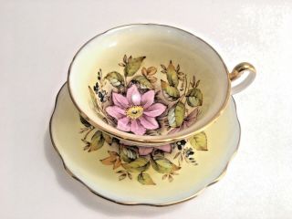 Vintage Eb Foley Rare Large Clematis Flower 1850 Signed Teacup&saucer Bone China