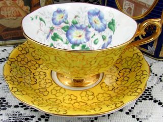 Royal Albert Yellow Iridescent Gold Floral Morning Glory Tea Cup And Saucer