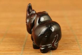 unique chinese old yak horn hand carved lovely rhinoceros netsuke 4