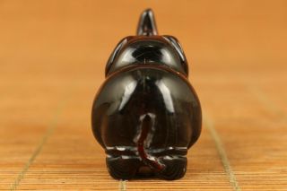 unique chinese old yak horn hand carved lovely rhinoceros netsuke 5