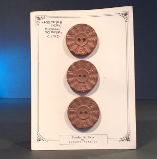 Tender Buttons for BARNEYS York 3 Pc Antique Vegetable Ivory Buttons - c.  1910 2