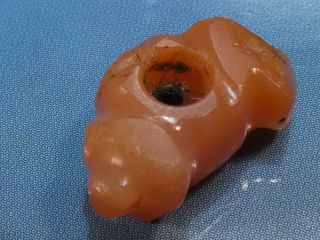 Ancient Pre - Columbian Tairona Red Agate Grub Gusano Rare Bead 14 By 8.  3 Mm