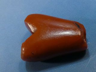 Ancient Pre - Columbian Tairona Red Agate Frog Symbol Bead 16.  3 By 12.  6 By 7.  2mm
