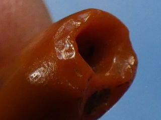 ANCIENT PRE - COLUMBIAN TAIRONA RED AGATE FROG SYMBOL BEAD 16.  3 BY 12.  6 BY 7.  2mm 7