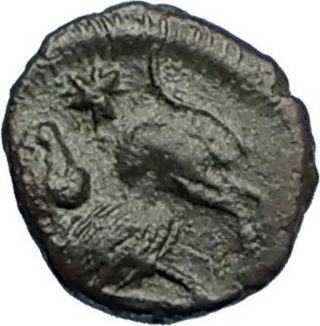 Leo I The Tracian 457ad Constantinople Authentic Ancient Roman Coin Lion I65665
