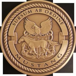 Us Navy Ldo/cwo Mustang Challenge Coin Bronze Made=usa Non Cpo Uscg Retirement