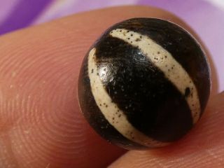 ANCIENT PUMTEK PYU BEAD  6 STRIPE SUN RAY  RARE 11.  7 mm CONTRAST TOPS 3