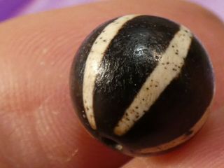 ANCIENT PUMTEK PYU BEAD  6 STRIPE SUN RAY  RARE 11.  7 mm CONTRAST TOPS 5