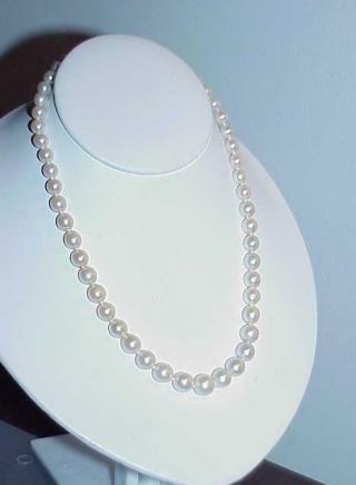 Antique 14k Pearls 10mm Graduated Necklace 15 " White Gold Huge Pearls Lustrous