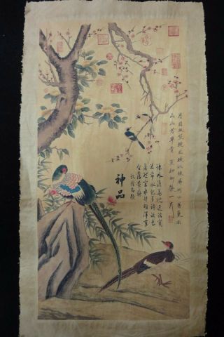 Large Chinese Very Old Paper Painting Flowers And Birds " Zhouji " Marks