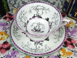 Star Paragon Arcadia Purple Courting Couples Tea Cup And Saucer