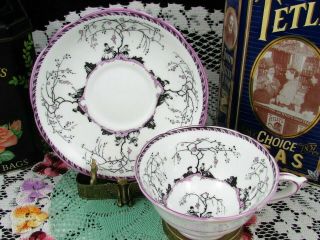 STAR PARAGON ARCADIA PURPLE COURTING COUPLES TEA CUP AND SAUCER 2