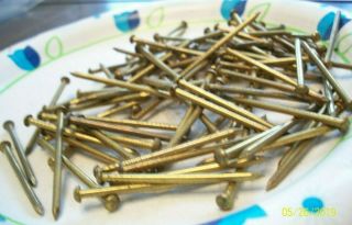 96 Vintage 1 1/2 " X 14 Solid Brass Brad Nails,  Round Dome Head Escutcheon Pins