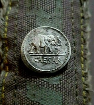 Rome Ancient Silver Denarius Julius Caesar Ar Denarius Coin 48 Bc Elephant Snake