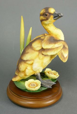 Fine Vtg German Bisque Porcelain Hutschenreuther G.  Granget Baby Duck Sculpture
