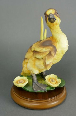 Fine Vtg German Bisque Porcelain Hutschenreuther G.  Granget Baby Duck Sculpture 2