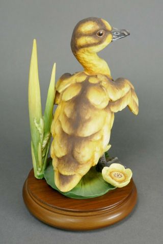 Fine Vtg German Bisque Porcelain Hutschenreuther G.  Granget Baby Duck Sculpture 3