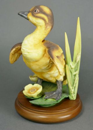 Fine Vtg German Bisque Porcelain Hutschenreuther G.  Granget Baby Duck Sculpture 5