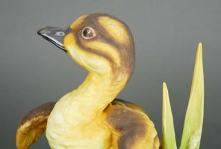 Fine Vtg German Bisque Porcelain Hutschenreuther G.  Granget Baby Duck Sculpture 6