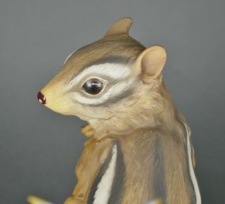 Fine Vtg German Bisque Porcelain Hutschenreuther G.  Granget Squirrel Sculpture 8