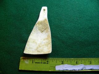 Ft.  Ancient Conch Shell Gorget Indian Artifacts / Arrowheads 3