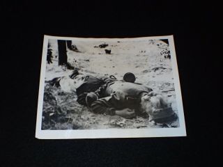 WW2 Orig 1944 Photograph 8X10 1st Airborne Holland - German Woman in Uniform KIA 4