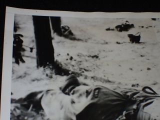 WW2 Orig 1944 Photograph 8X10 1st Airborne Holland - German Woman in Uniform KIA 5