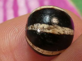 ANCIENT PUMTEK PYU BEAD  6 STRIPE SUN RAY  RARE 12.  2 MM GORGEOUS WEAR PATINA 4