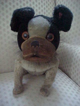 Rare Antique Steiff Bully The Bulldog Stuffed Toy Dog